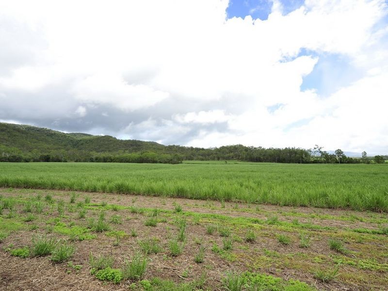 L13 Wetherby Road, Mount Molloy QLD 4871