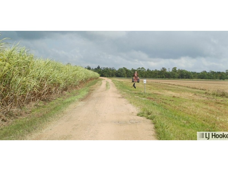 Lot 1 Jack Evans Drive, Silky Oak QLD 4854