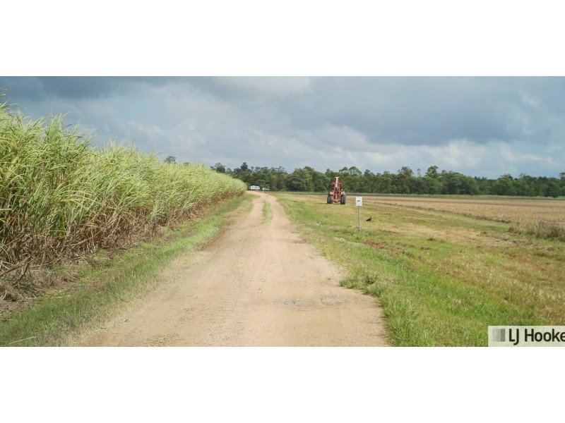 Lot 1 Jack Evans Drive, Silky Oak QLD 4854