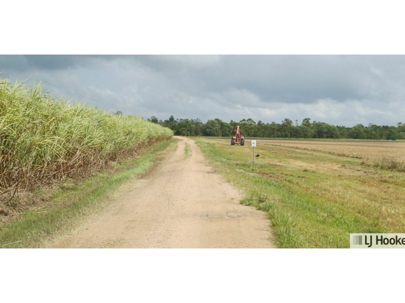 Lot 1 Jack Evans Drive, Silky Oak QLD 4854