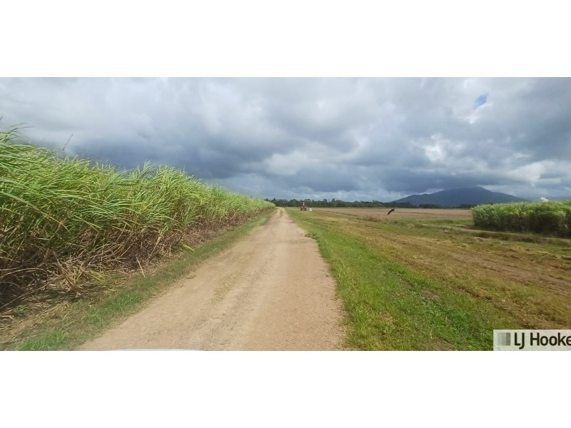 Lot 1 Jack Evans Drive, Silky Oak QLD 4854