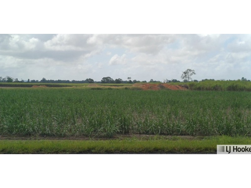 Lot 1 Jack Evans Drive, Silky Oak QLD 4854