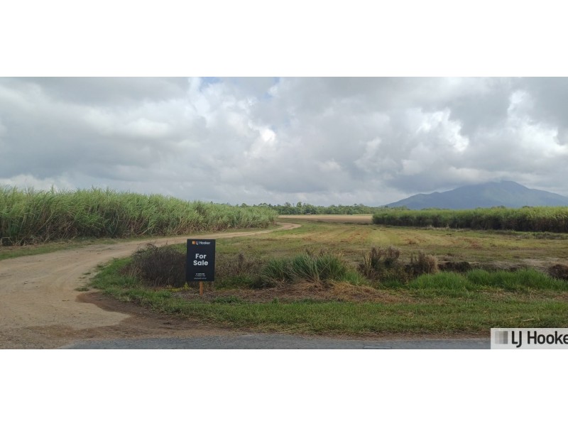 Lot 1 Jack Evans Drive, Silky Oak QLD 4854