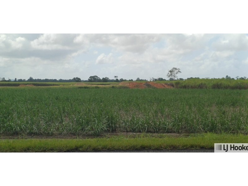 Lot 1 Jack Evans Drive, Silky Oak QLD 4854