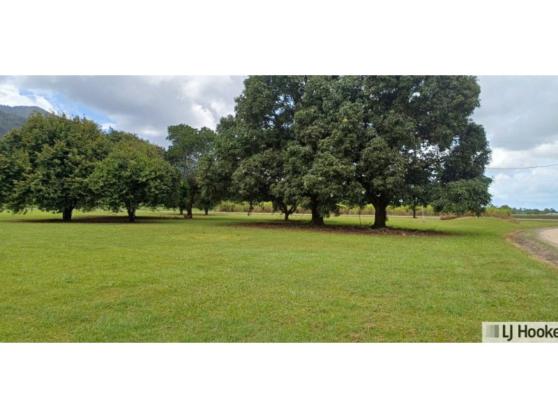 65 Deluca Road, Silky Oak QLD 4854