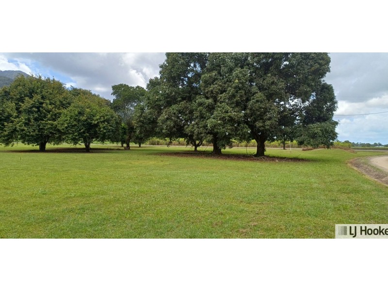 65 Deluca Road, Silky Oak QLD 4854