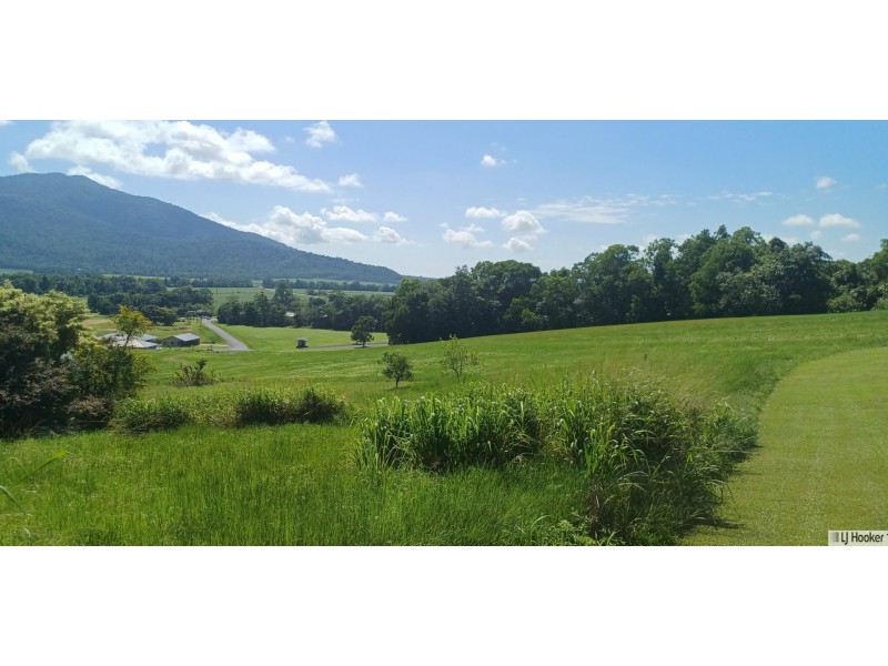 38 Pease Street, Tully QLD 4854