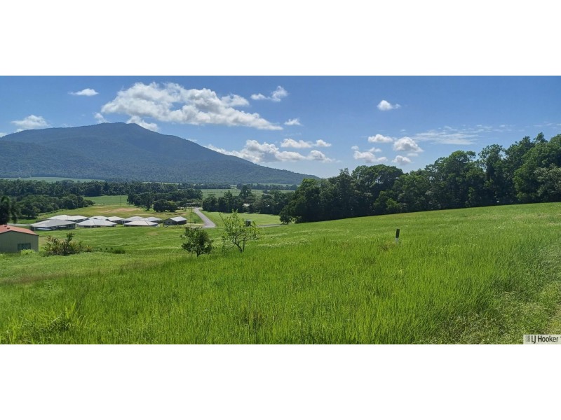 38 Pease Street, Tully QLD 4854