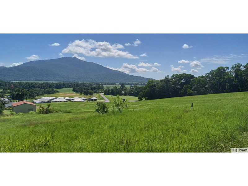 38 Pease Street, Tully QLD 4854