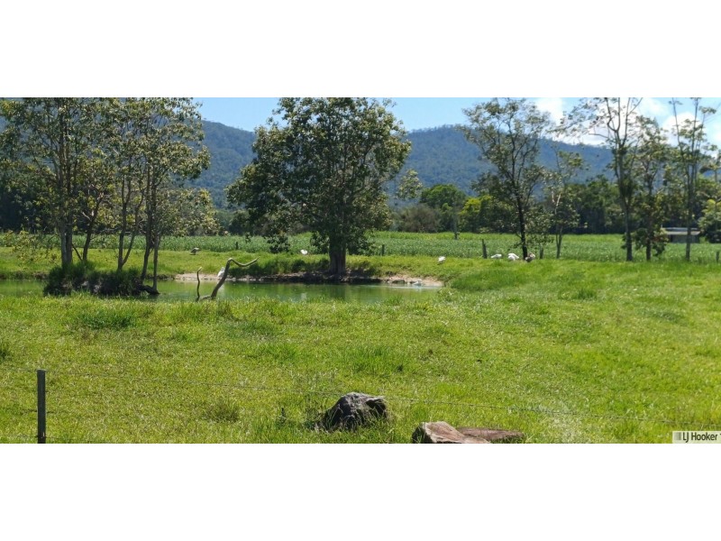 89 Mcquill Road, Jarra Creek QLD 4854