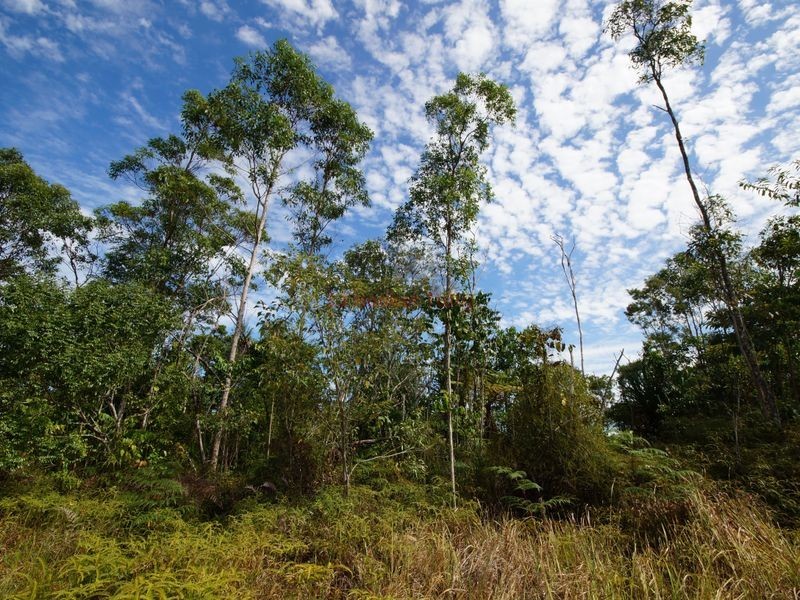 L3 East Feluga Road, East Feluga QLD 4854