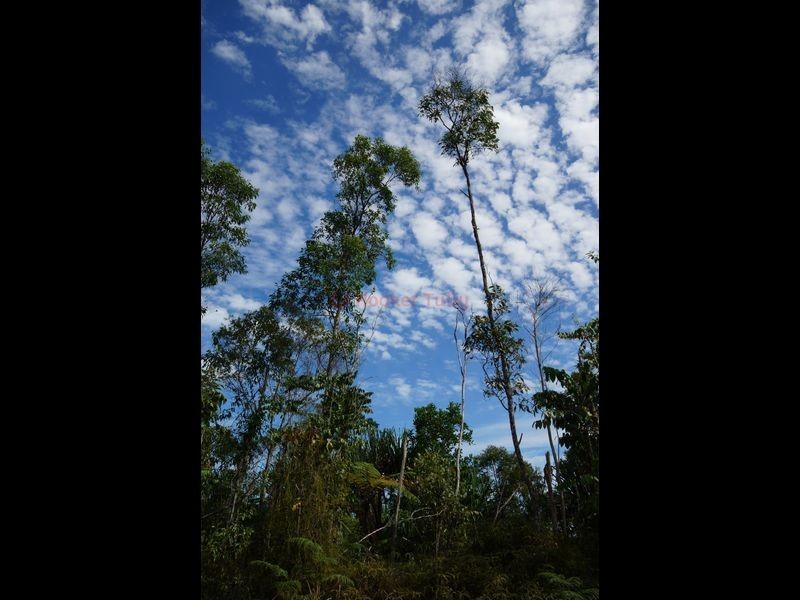 L3 East Feluga Road, East Feluga QLD 4854