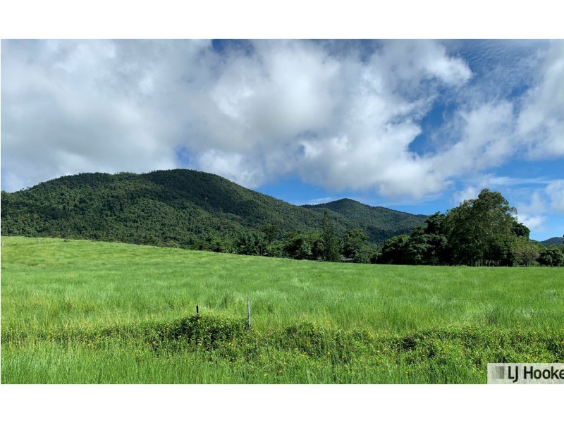 601 Bulgun Road, Feluga QLD 4854