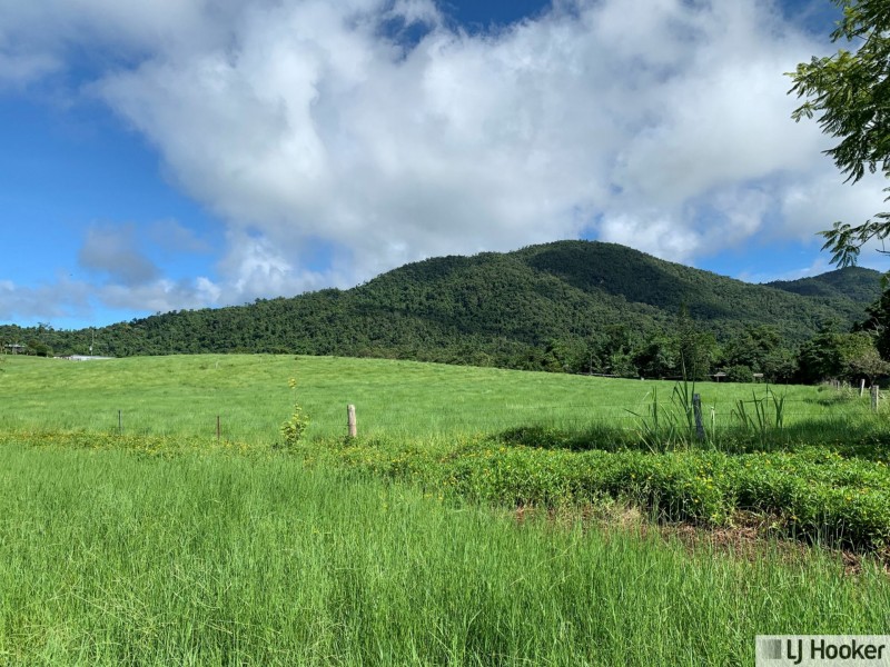 601 Bulgun Road, Feluga QLD 4854