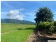 8 Midgenoo-Feluga Road, Midgenoo QLD 4854