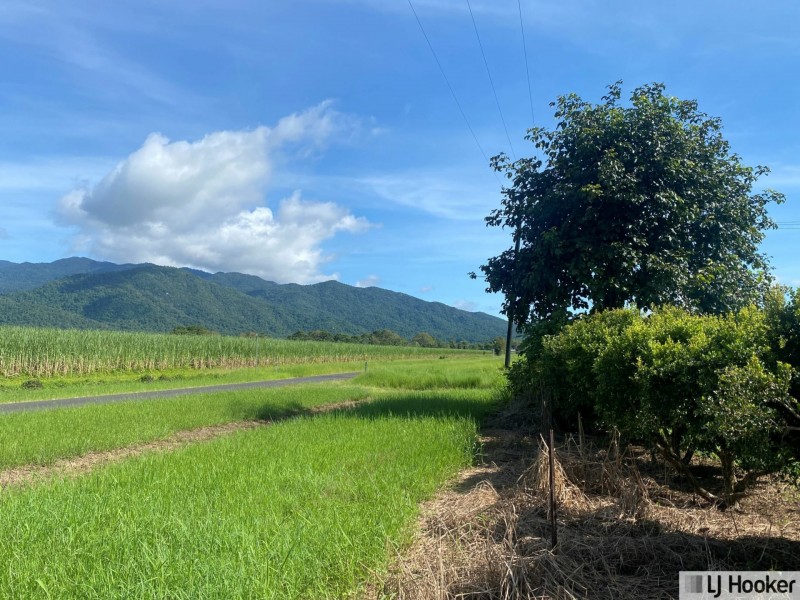 8 Midgenoo-Feluga Road, Midgenoo QLD 4854