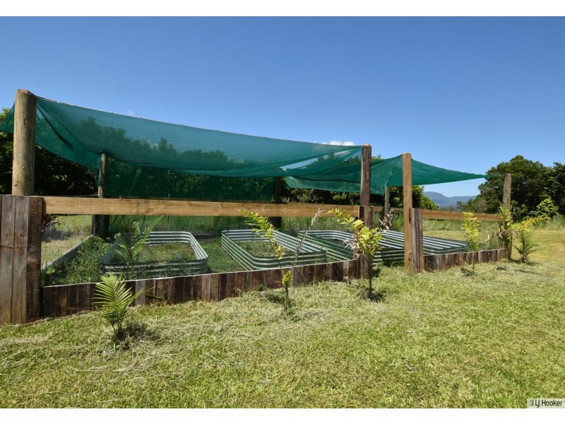 275 Dingo Pocket Road, Dingo Pocket QLD 4854