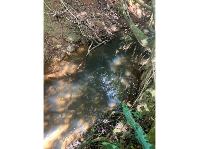 Lot 10 No. Branch Road, South Johnstone QLD 4859