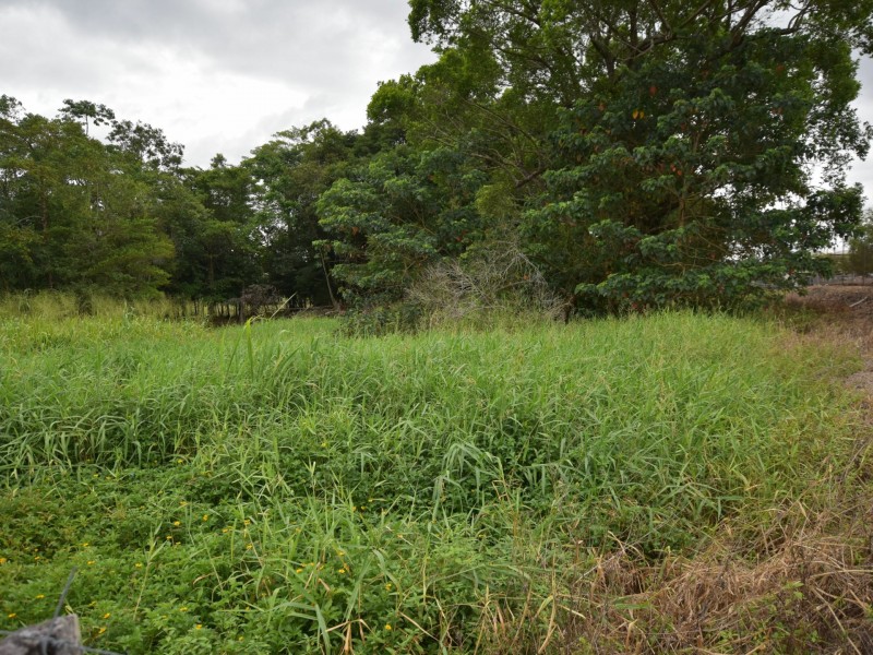 Lot 7 Tully Gorge Road, Tully QLD 4854