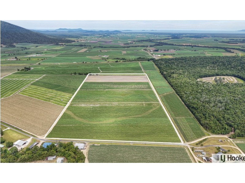 174 Dallachy Road, Silky Oak QLD 4854