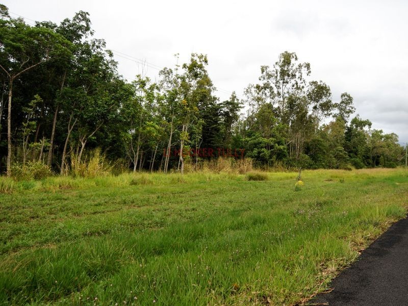 L29 Middle Murray Road, Murray Upper QLD 4854