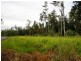 L29 Middle Murray Road, Murray Upper QLD 4854