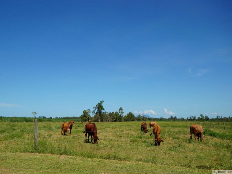 102 Miller Road, Bilyana QLD 4854