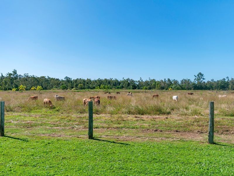 55786 Bruce Highway, Alligator Creek QLD 4816