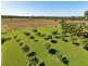 55786 Bruce Highway, Alligator Creek QLD 4816