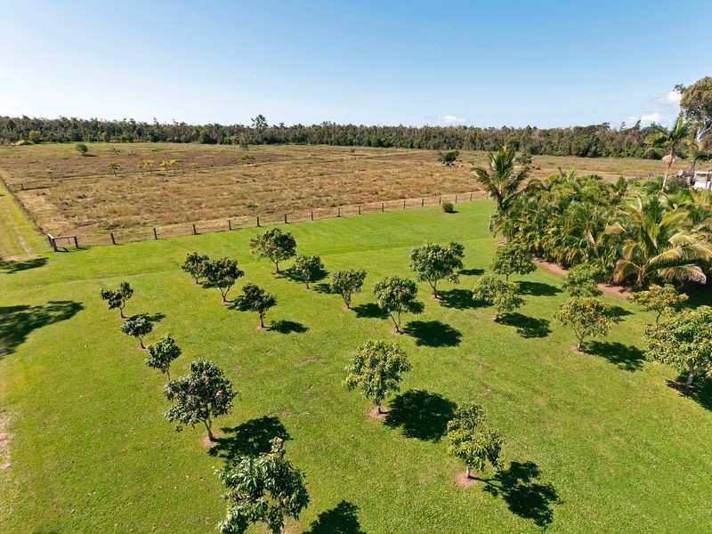 55786 Bruce Highway, Alligator Creek QLD 4816