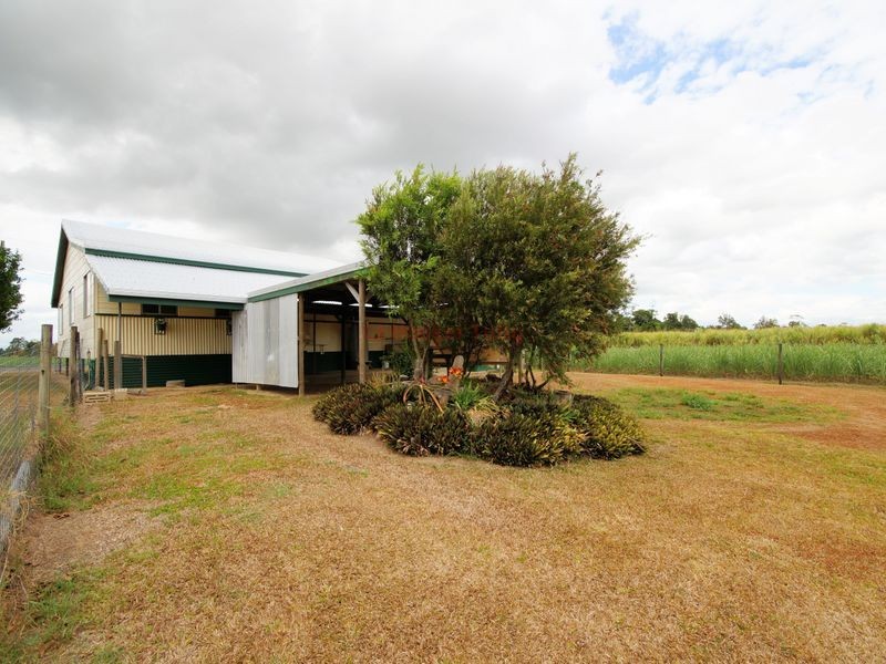 513 Tully Hull Road, Lower Tully QLD 4854