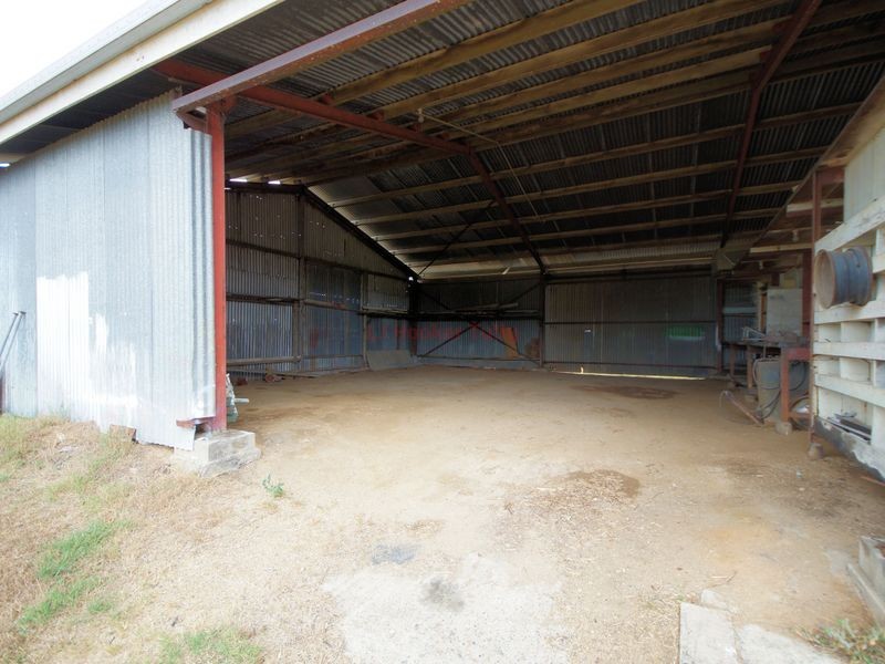 513 Tully Hull Road, Lower Tully QLD 4854