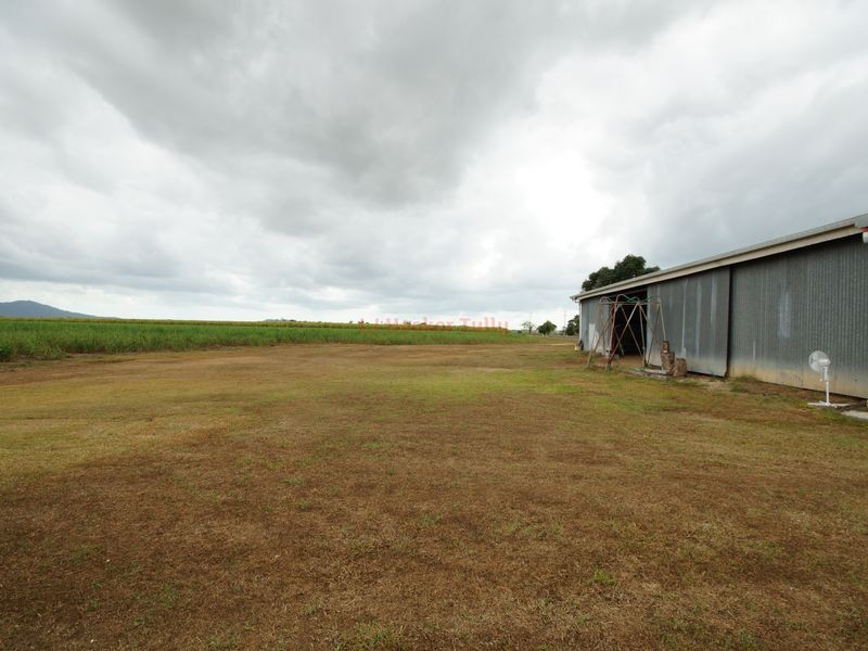 513 Tully Hull Road, Lower Tully QLD 4854