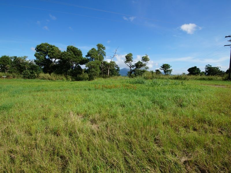 1820 Davidson Road, Munro Plains QLD 4854