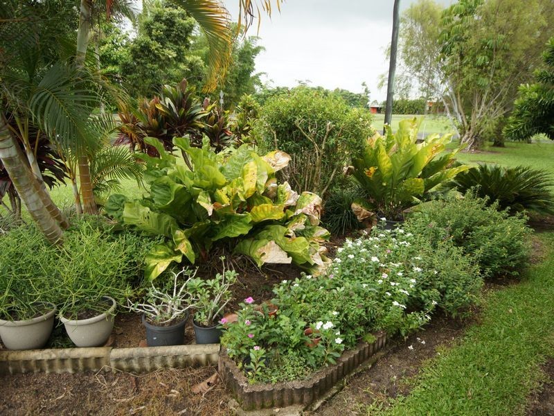 100 Victoria Street, Silkwood QLD 4856