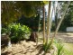 753 Kennedy Creek Road, Carruchan QLD 4816