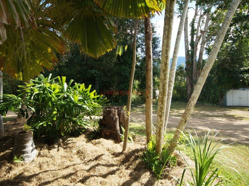 753 Kennedy Creek Road, Carruchan QLD 4816