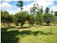 753 Kennedy Creek Road, Carruchan QLD 4816