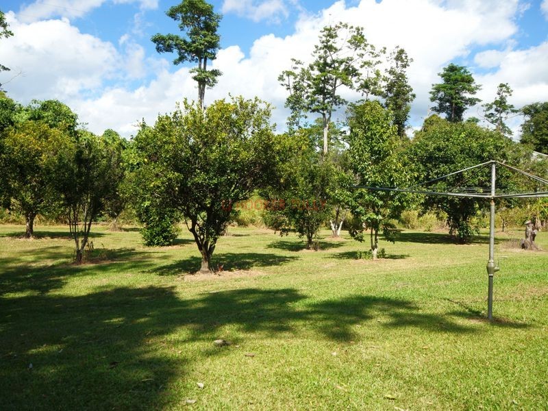753 Kennedy Creek Road, Carruchan QLD 4816