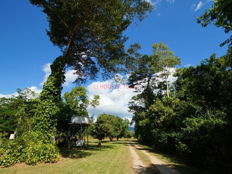 753 Kennedy Creek Road, Carruchan QLD 4816