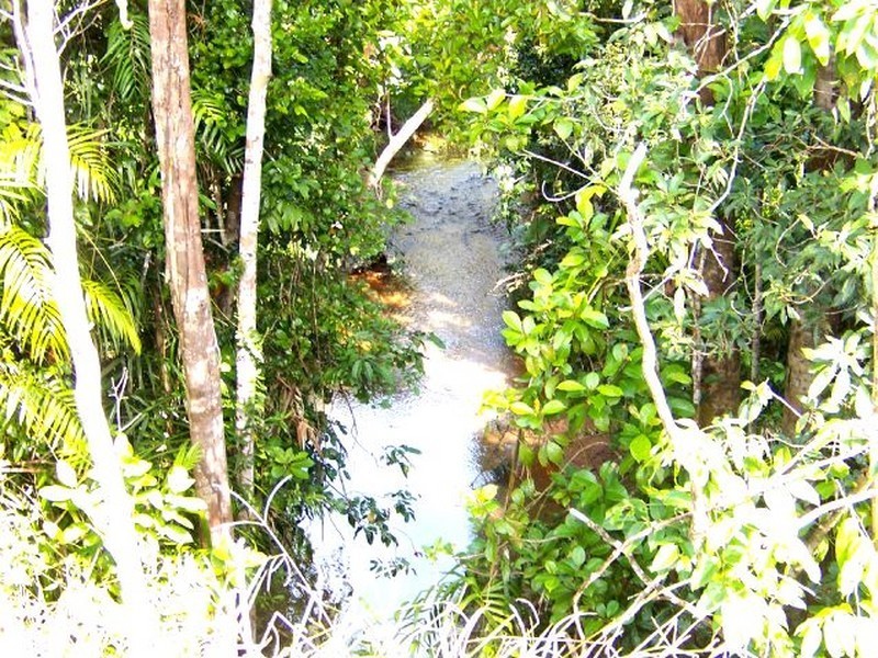 2098 Innisfail Japoon Road ( Mena Creek), Innisfail QLD 4860