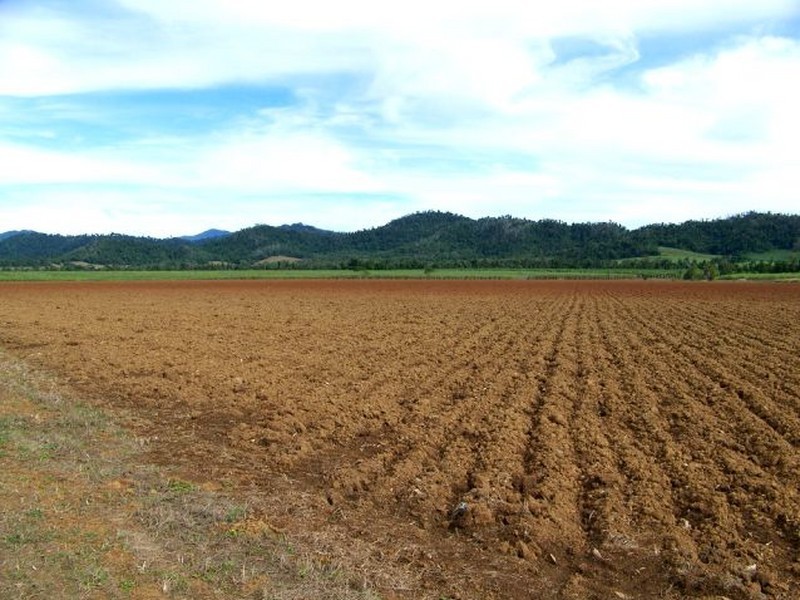 2098 Innisfail Japoon Road ( Mena Creek), Innisfail QLD 4860