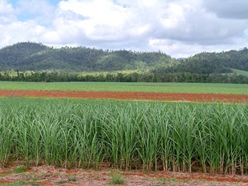 2098 Innisfail Japoon Road ( Mena Creek), Innisfail QLD 4860