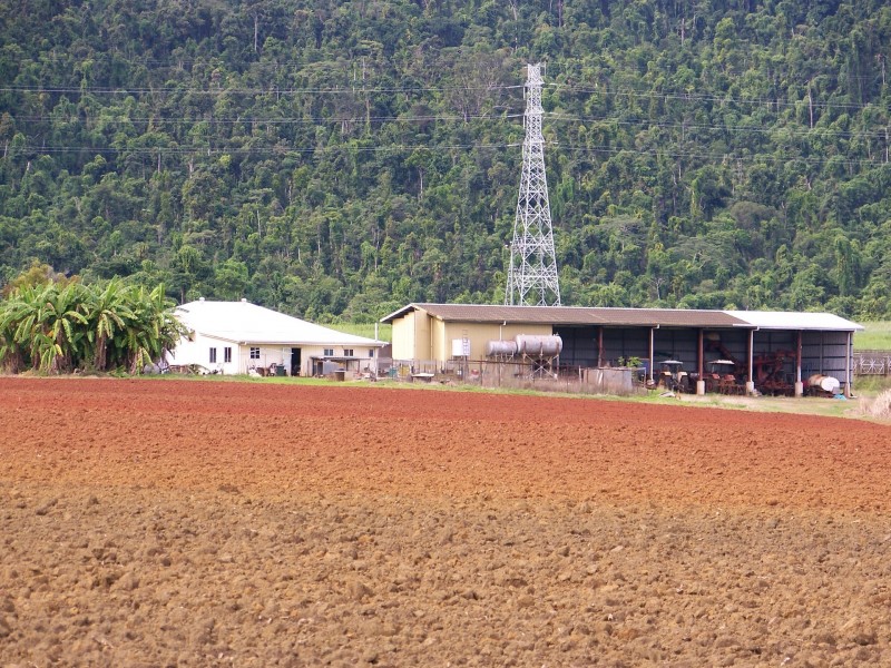 2098 Innisfail Japoon Road ( Mena Creek), Innisfail QLD 4860