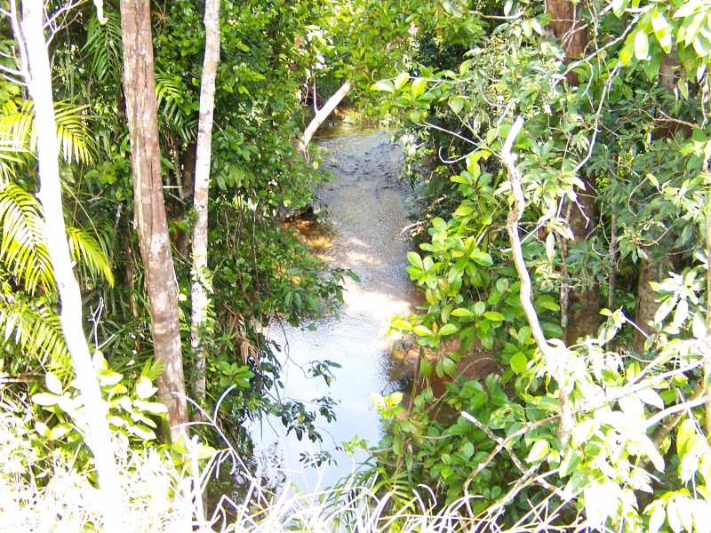 2098 Innisfail Japoon Road ( Mena Creek), Innisfail QLD 4860