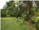 14 Olive Crescent, Kurrimine Beach QLD 4871