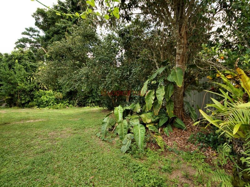 14 Olive Crescent, Kurrimine Beach QLD 4871