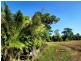 Lot 2 Granadilla Road, Granadilla QLD 4855