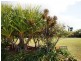 Lot 112 Campbell Street, Mission Beach QLD 4852