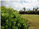 Lot 112 Campbell Street, Mission Beach QLD 4852